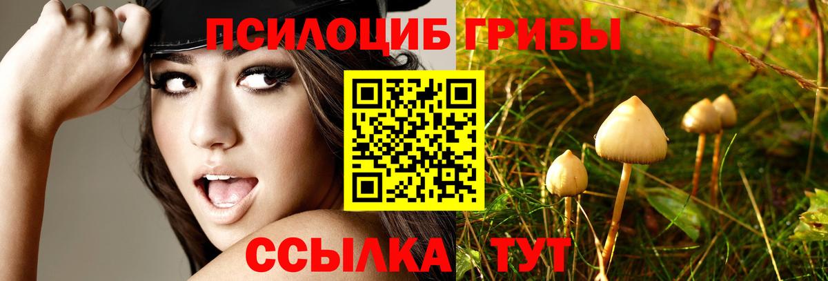 Галлюциногенные грибы Magic Shrooms Сургут